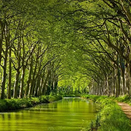 La Chartreuse Du Canal Du Midi Casa de Férias Toulouse