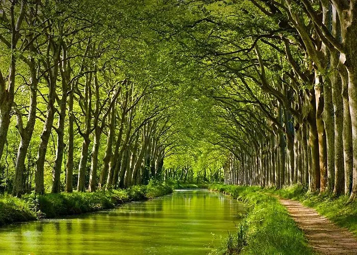 La Chartreuse Du Canal Du Midi Casa de Férias Toulouse